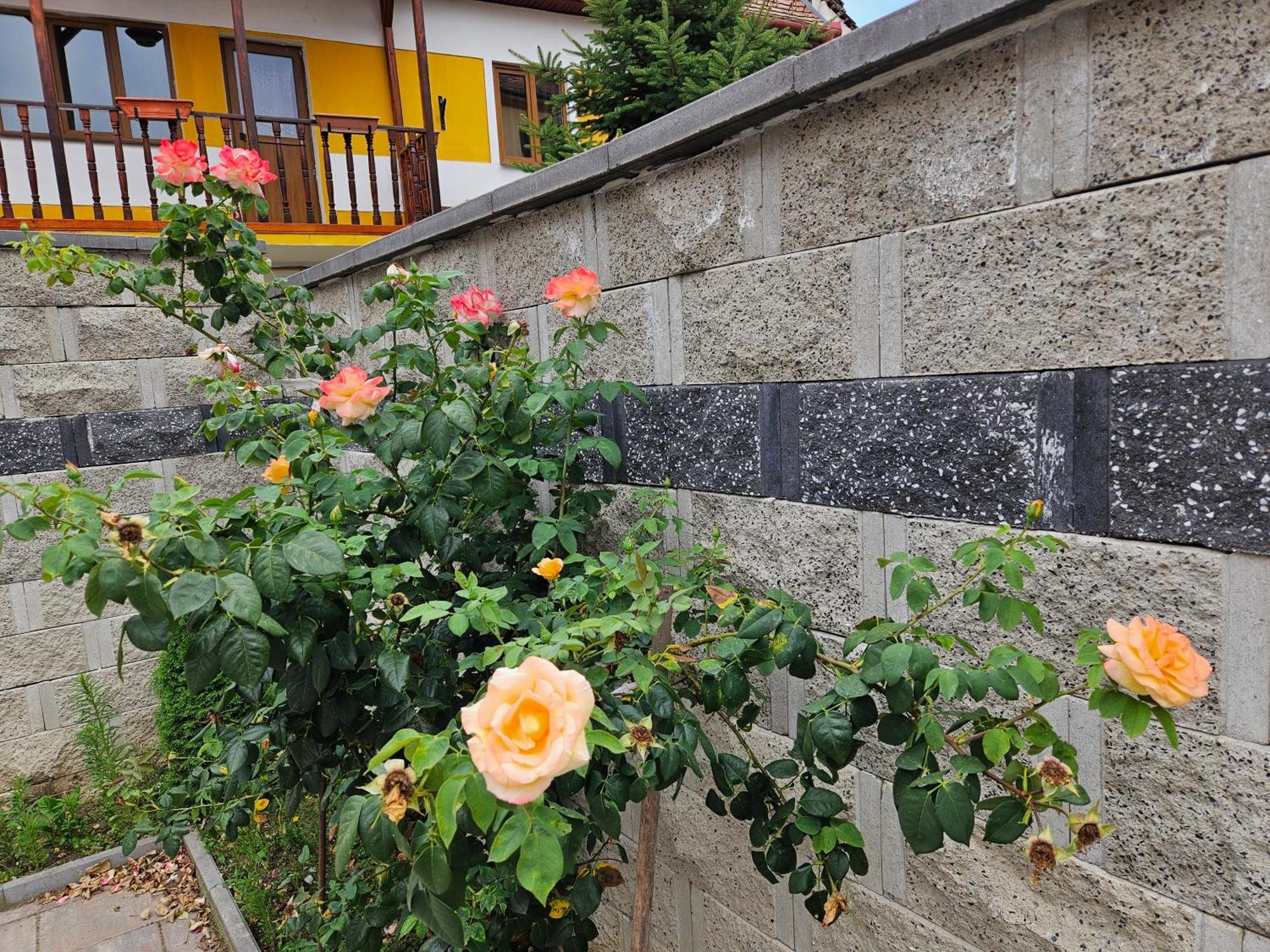 Casa Raduly Aparthotel Sibiu Luaran gambar